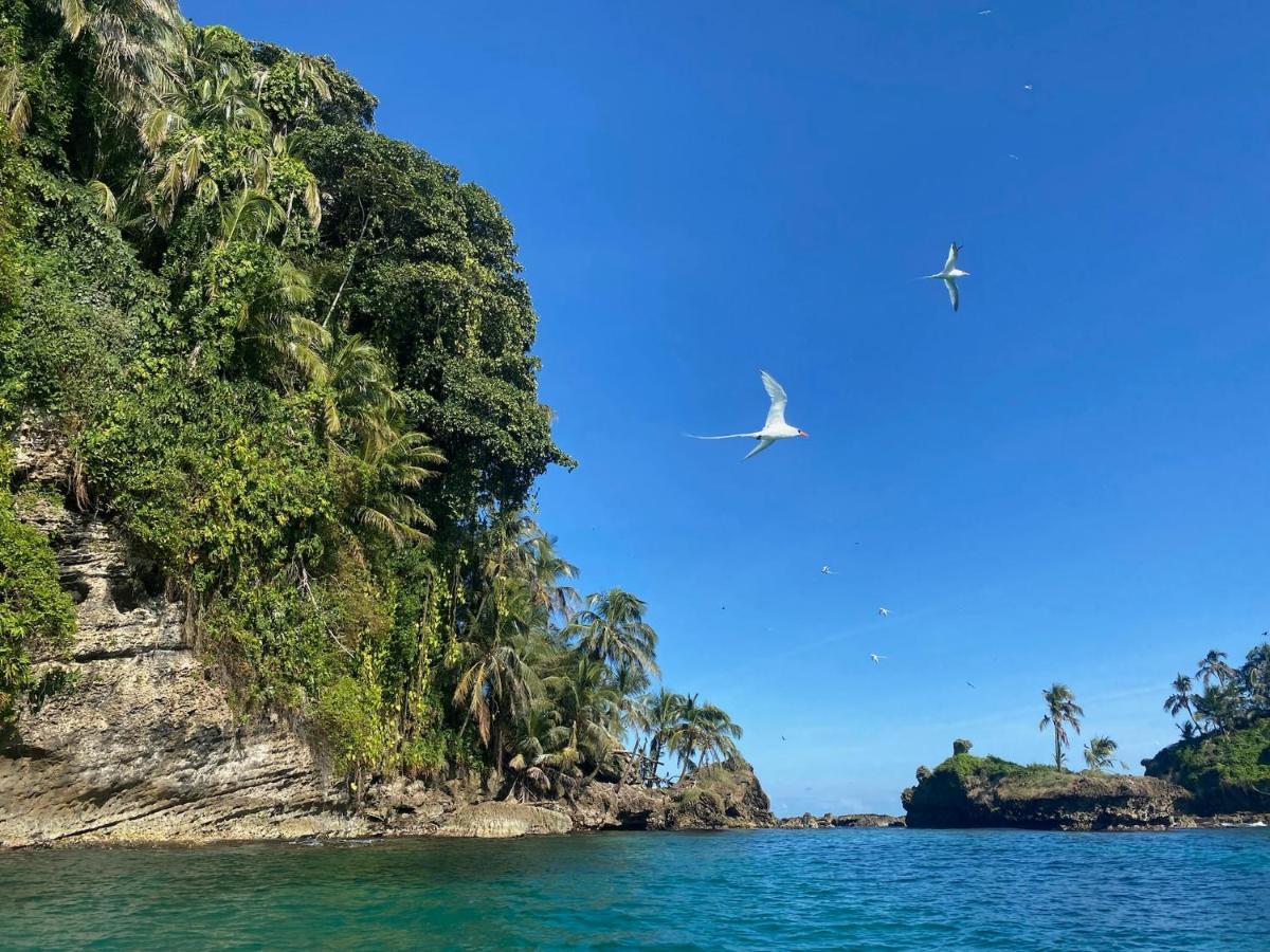 Bird Island Bungalows 博卡斯德尔托罗 外观 照片