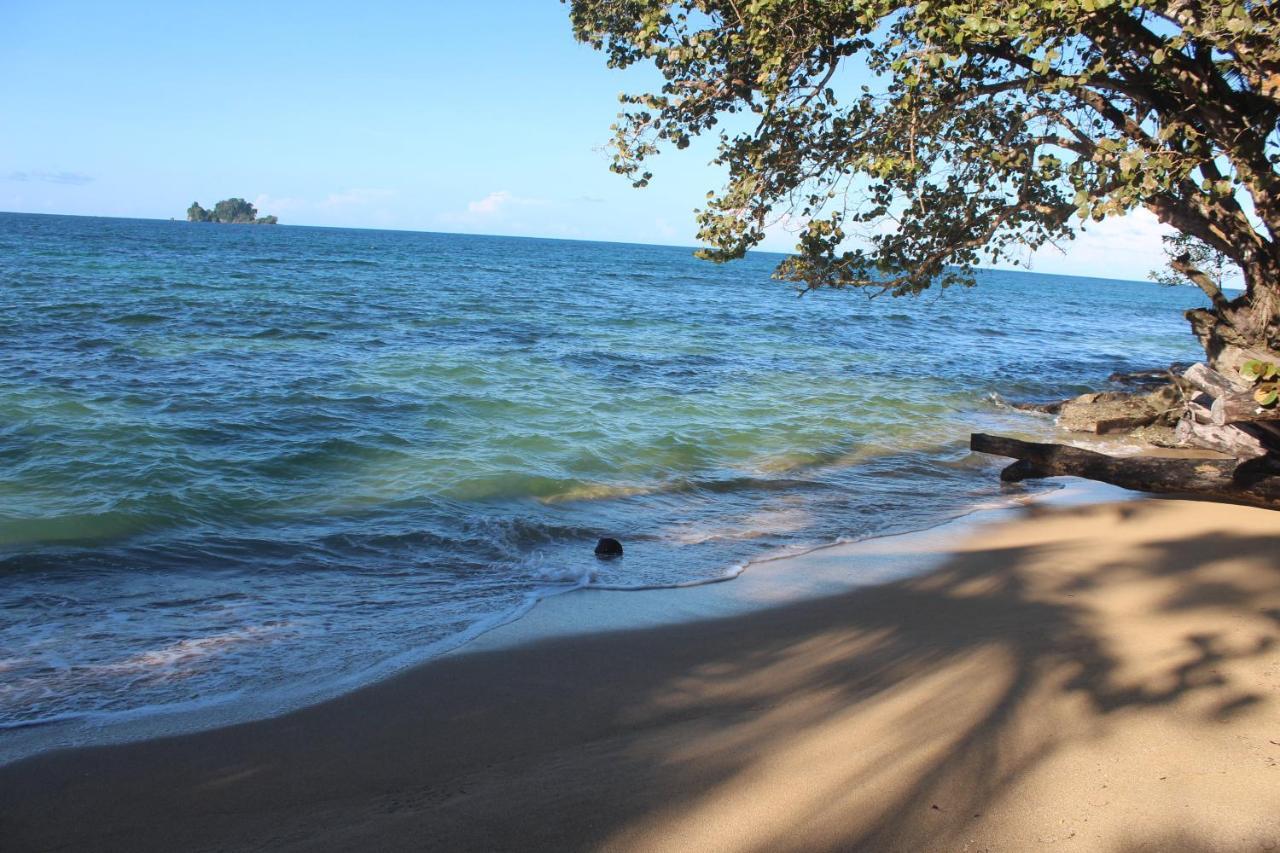 Bird Island Bungalows 博卡斯德尔托罗 外观 照片