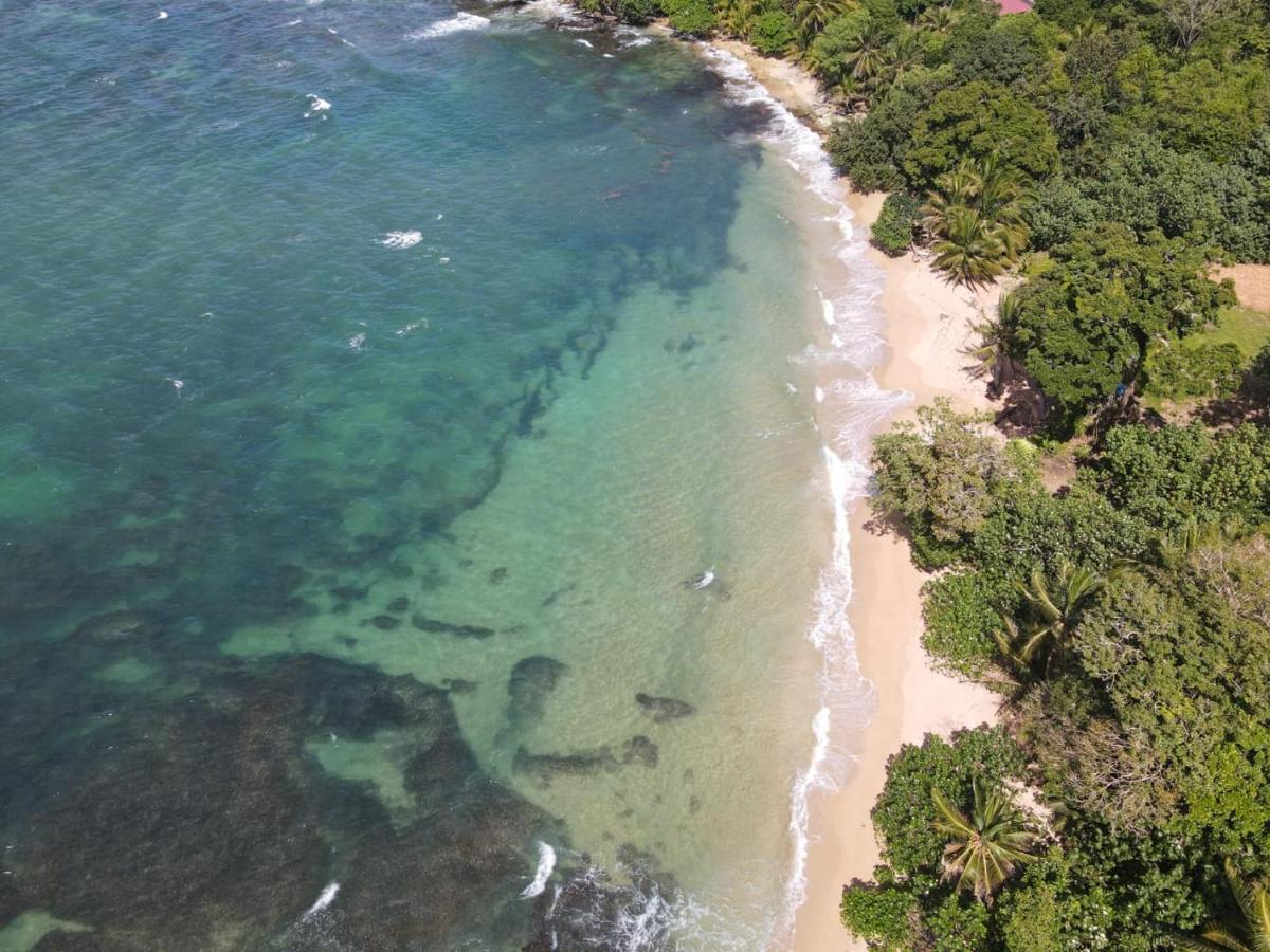 Bird Island Bungalows 博卡斯德尔托罗 外观 照片