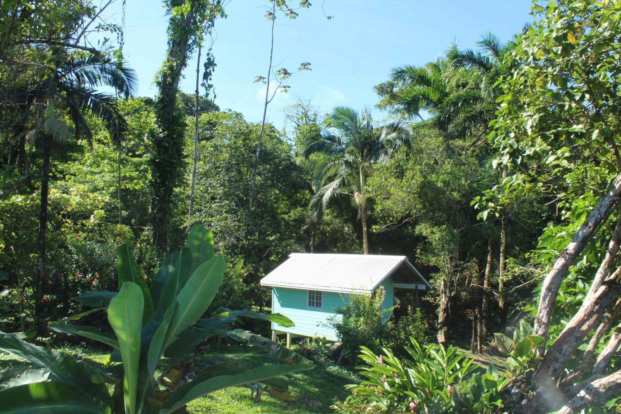 Bird Island Bungalows 博卡斯德尔托罗 客房 照片